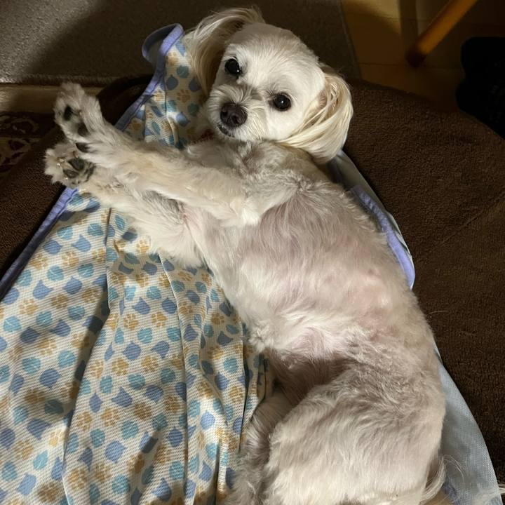 6405ee2e 34f1 4859 b503 ba46bd5400a3 1692618342093