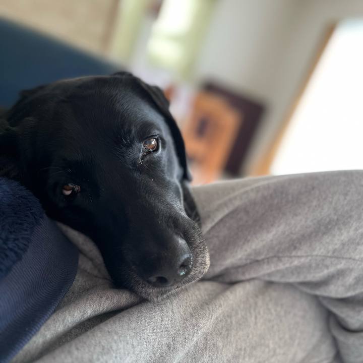 6405f701 8c24 4a8d ba43 e03f7e8ba849 1702248715289