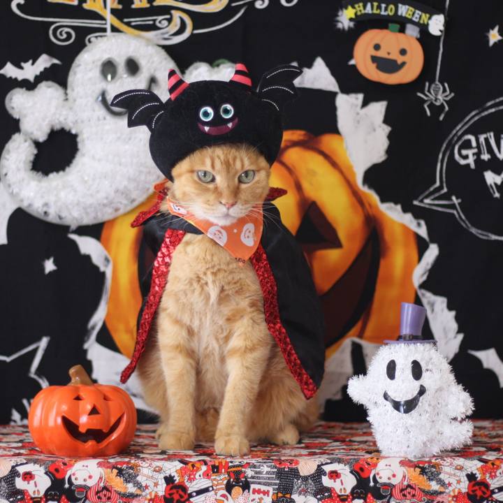 640620cd b7f6 4955 b909 433c101ce1ce 1633517251669