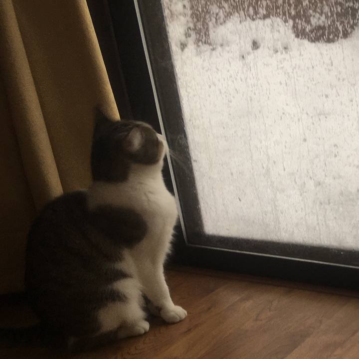 64063381 fa0f 47be 841d 384c72d374ea 1632963041009