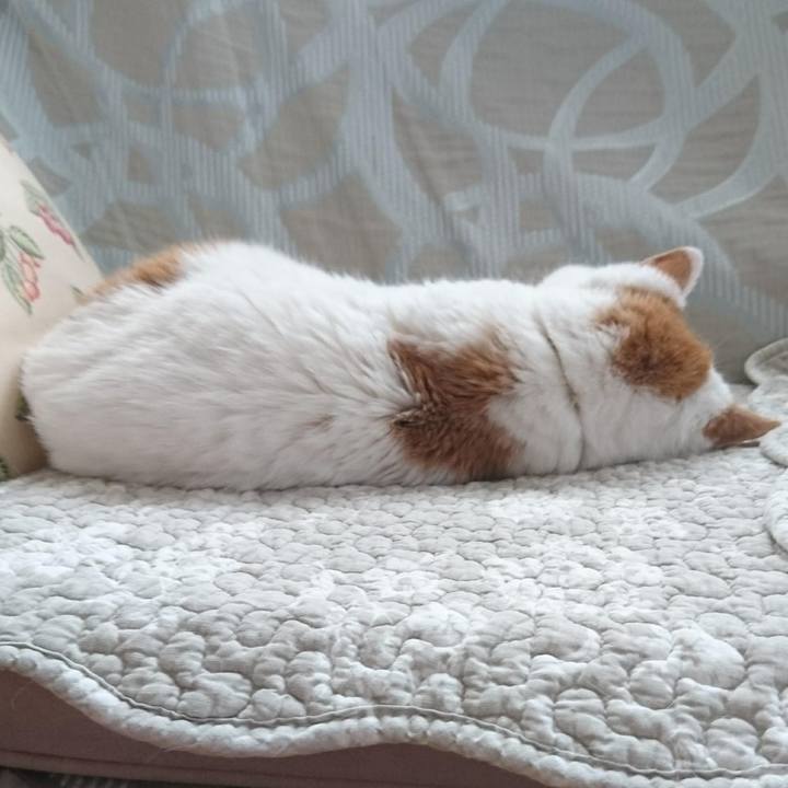 640636d9 7764 4a75 b910 820910a64a98 1629364995149