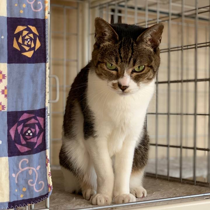 64065123 eb7d 4934 9d5f eedf85925c57 1604539701820