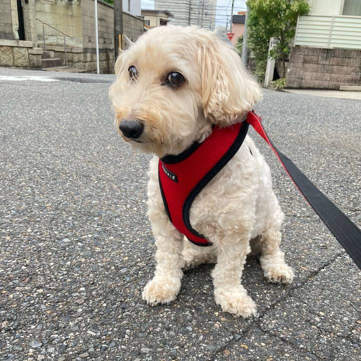 64066546 d74c 41de a3cf 62583993fac6 1757815323343