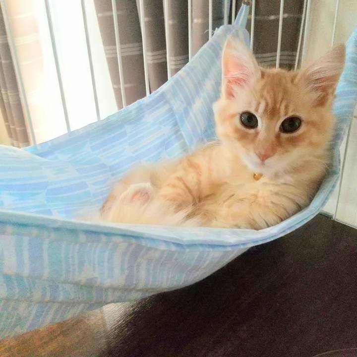 64066592 6e21 4c6e 87ed 7e7788f24f4a 1608707959397