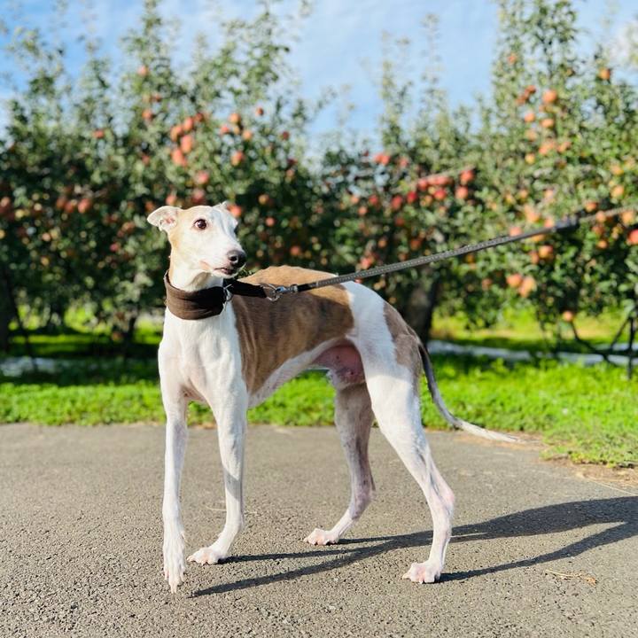 6406add1 010f 4f1c 9a39 92421c5843ac 1759913738928