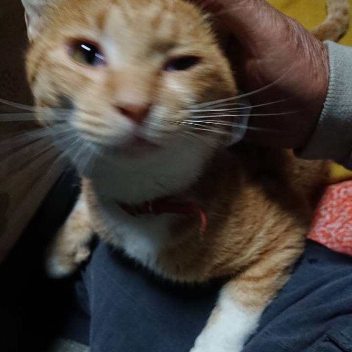 6406c4ca 645d 48f0 98ef fd95dba329e1 1570861756049