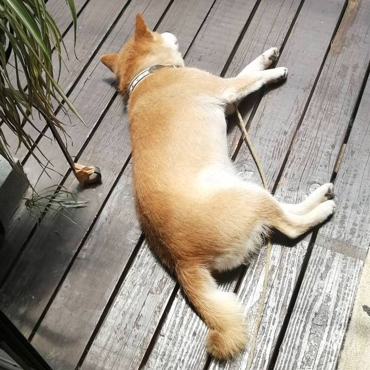 6406ee17 b579 4d66 a8f2 ed6c52a9658b 1596339197194