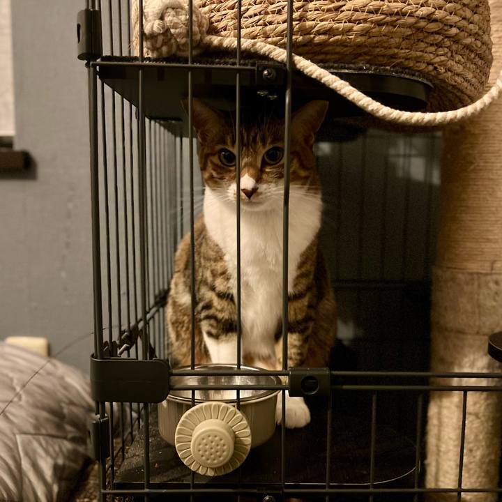 6406fa9c f1dc 4a7f 987e 07a61fbe523b 1762685381348