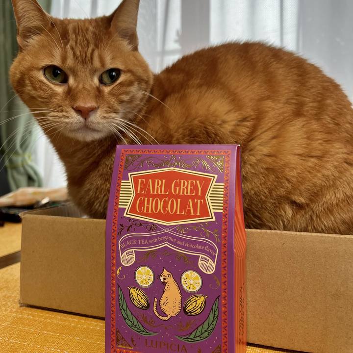 64072806 36ea 4f26 ab1d 1413cb984832 1771036221798