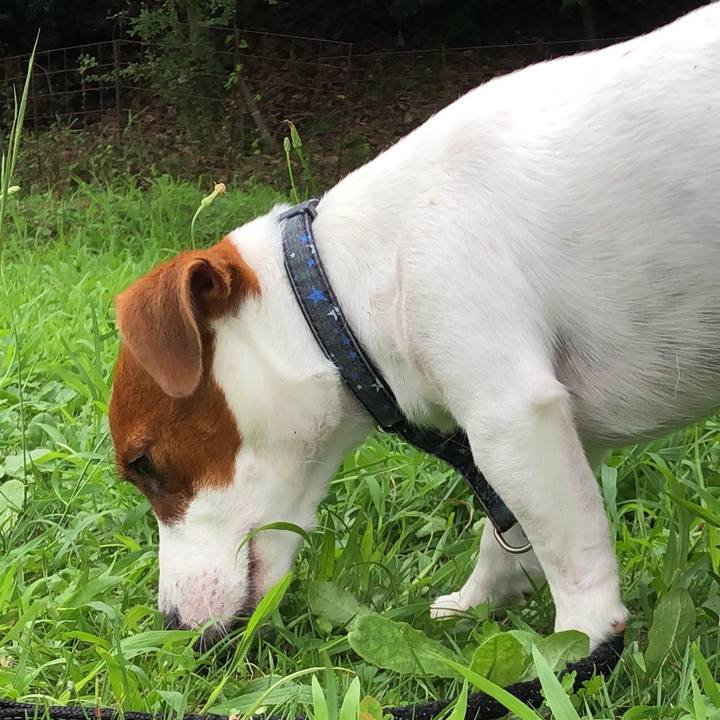 64073f66 9218 4e90 a335 c8c0bc008614 1537694621729