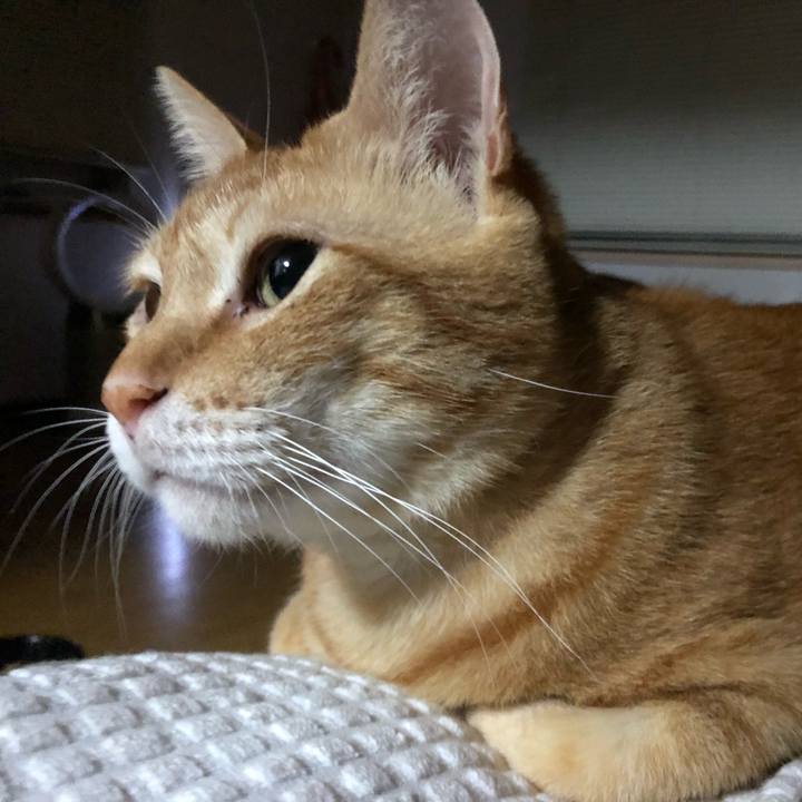 6407456f f8f6 43cc b1f8 1a1fdc24e242 1598528827134