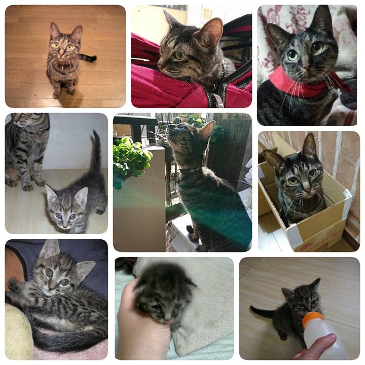 64075201 c6dd 40a3 8cd3 e07fb4ed676a 1665257547502