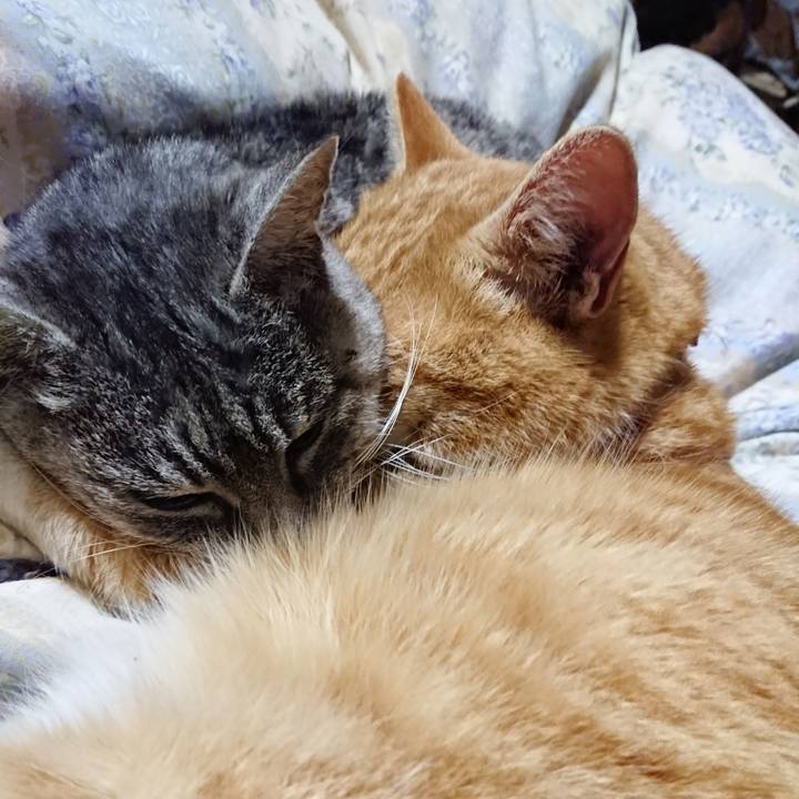 64076c2d e7b6 4110 8067 ea71b38ffe07 1578833553788