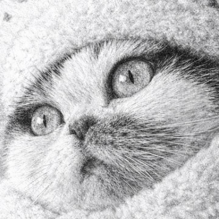 640811b3 35f9 4a3c 81f1 46df9fb663f1 1767110708731