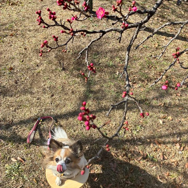 64082d9e 3c64 4c3d 8758 868e1f64a74d 1768105589152