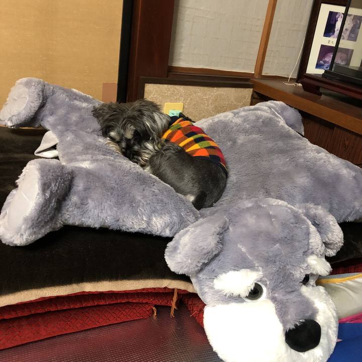 64085dc4 c463 4e79 9432 1422a29504de 1556537532162