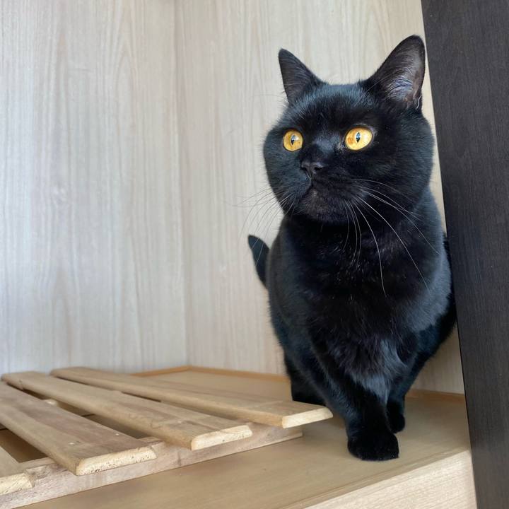 6408acef 3c4e 436f 85b9 4e742afe8661 1646867845431