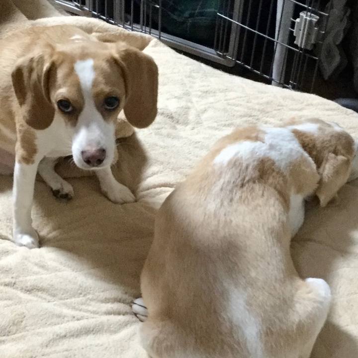 6408c350 14b8 4ebf 84c7 d44aaf893825 1597281345284