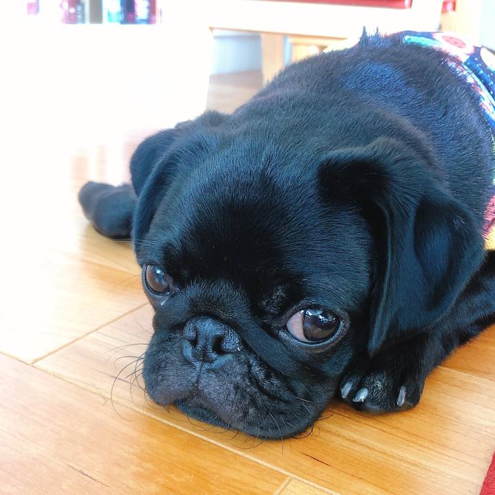 6408df2c 3da6 4f43 9975 42fa4229860d 1601379919536