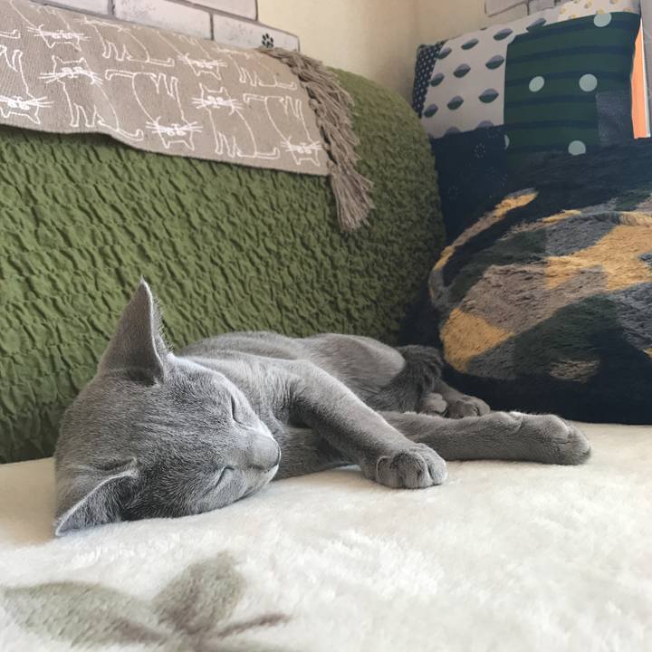 6408e383 6c62 45fc 8293 567f76e732db 1510454952156