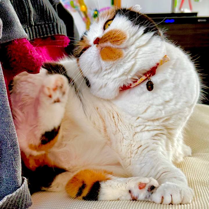 6408ecb0 25a5 47fd 87a9 c76f86ccbcbd 1671150424711