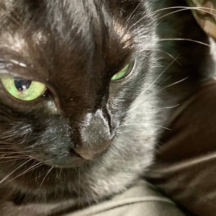 640917e8 21f0 4836 b556 dc473bb31e96 1589255812640