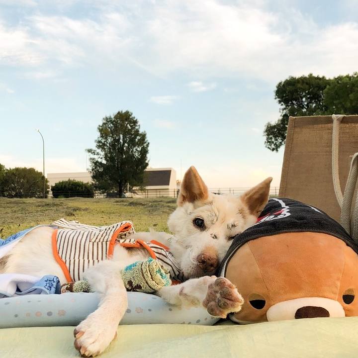 64092d7a 9829 4954 a895 0400e9c294b0 1663827757797