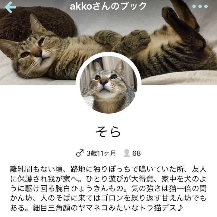 640994d4 eef3 4c1f a005 a00bb854dd23 1527291650327