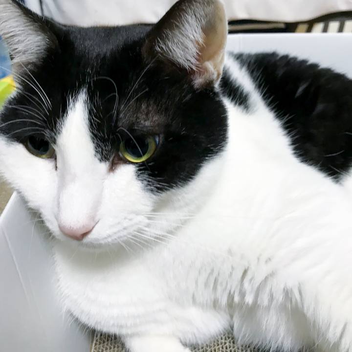 6409c7ee d54e 40b3 8c72 6dad31af24e5 1515555430096