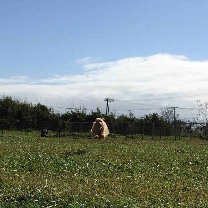 6409f331 ed26 41a9 99eb 86620743104a 1603751791543