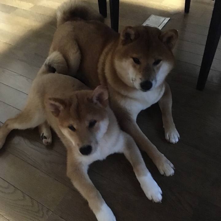 640a327f 7053 4857 9667 bbe377c2706c 1508932442744