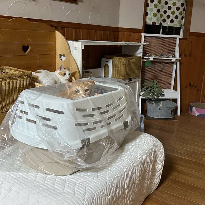 640a4fbb 890a 4827 841e 00cf79567ae9 1678621829311