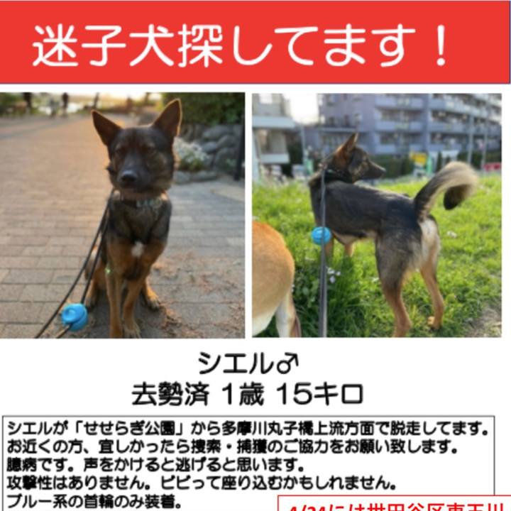 640a54b4 848f 4a89 9b6c c1fc4c888387 1619316626366