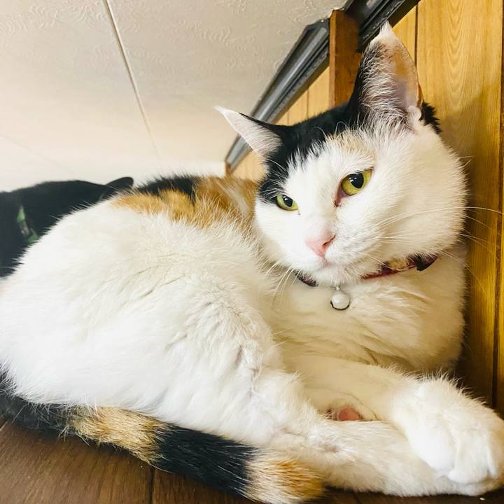 640a5799 27a4 46e8 8618 71ad190f2795 1682546543820