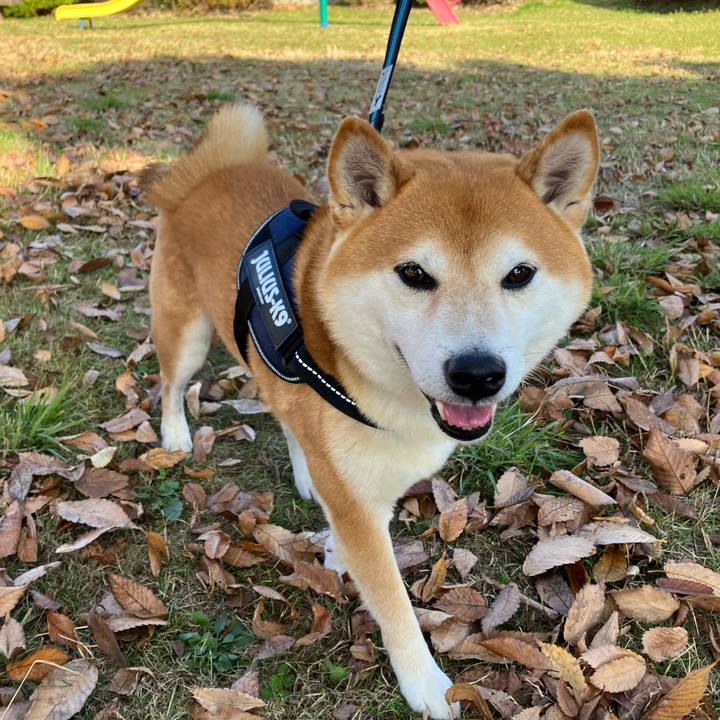 640ab1f1 0467 42ae b2ec 665a3fc0a70e 1763931196154