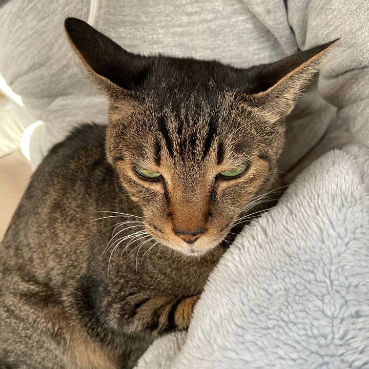 640ac2b3 0403 4dee aaf9 cb1bc01ea7a1 1609292951880