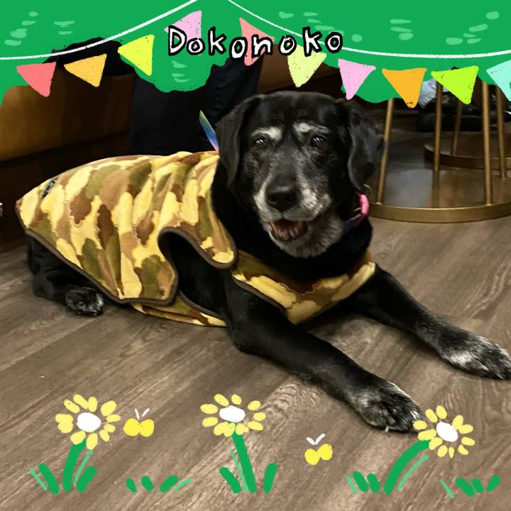 640acd84 ffed 40fd b5b2 ffbb53f5d427 1710988838824