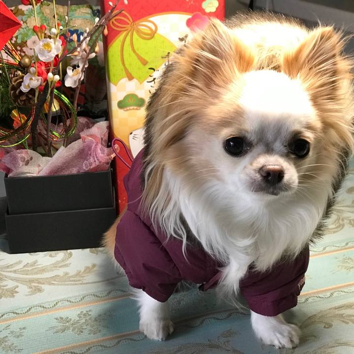 640b0077 aa7c 4bd3 9c2e 70b980b6500b 1604835463324