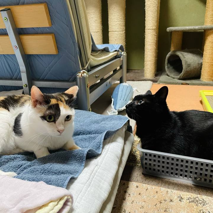 640b38b3 cdfd 4285 89e5 de4f366002f6 1629942605895