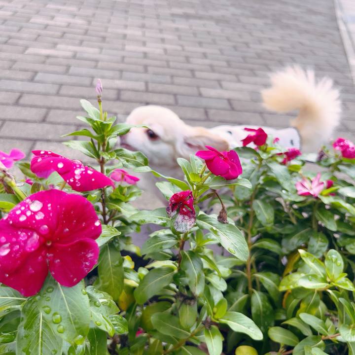 640b3b5b ad6c 4c07 854c af69380332cd 1759629487994