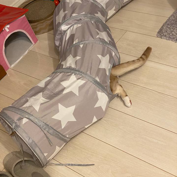 640ba433 7b86 4183 b3e9 0d4e9027c053 1623579017041