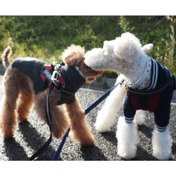 640bd8c3 d797 41c6 8b8a e6f5367c06d7 1512188690496