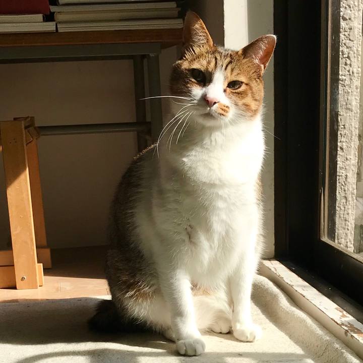 640c08e2 c574 4bc2 8bcc a221868a7694 1509684104119