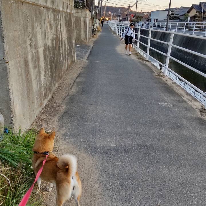 640c0d02 3cd1 4210 882c 1e8b2b9d0d63 1668758717112