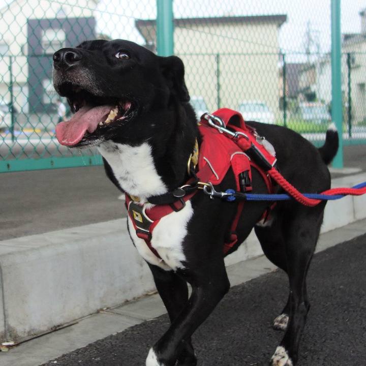 640c323d e376 4b15 a9c4 cfa9348a6591 1599003996095