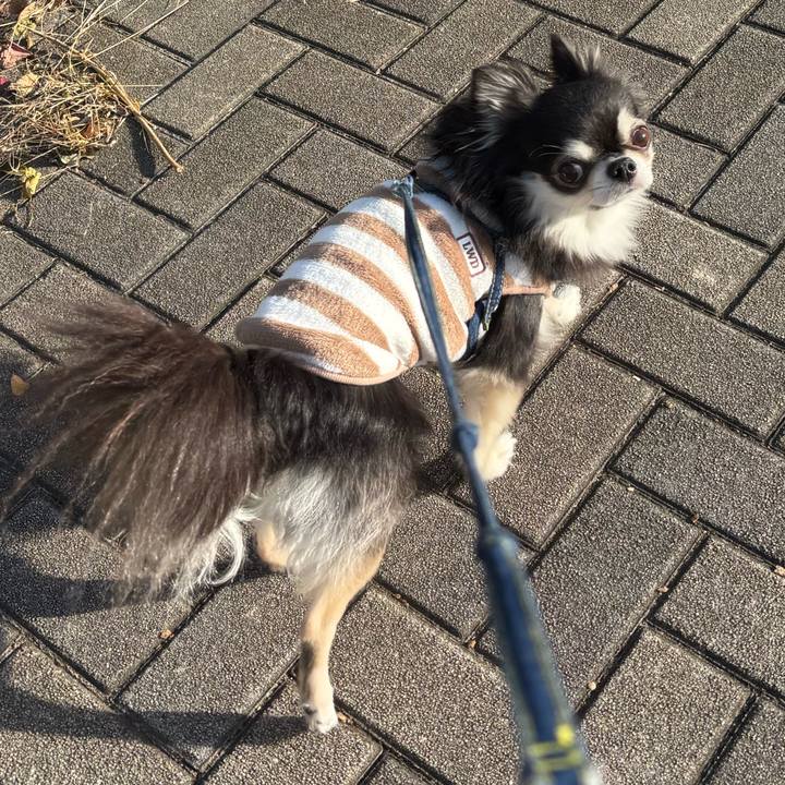 640c604c f948 4a58 a2ac e5a348d2fc7f 1762621481315