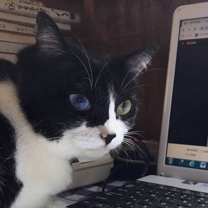 640cd750 89f7 49b4 b6d0 efeb59ec36fd 1560676834784