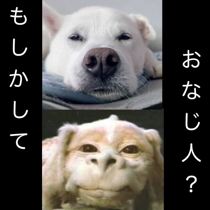 640cdca0 00a4 49a7 b6cb e554ec0efb89 1747038673155