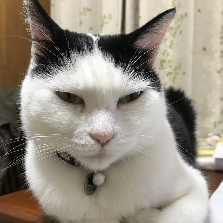 640ce3ce c52c 4b90 81d6 359cf3a9091f 1513075058796