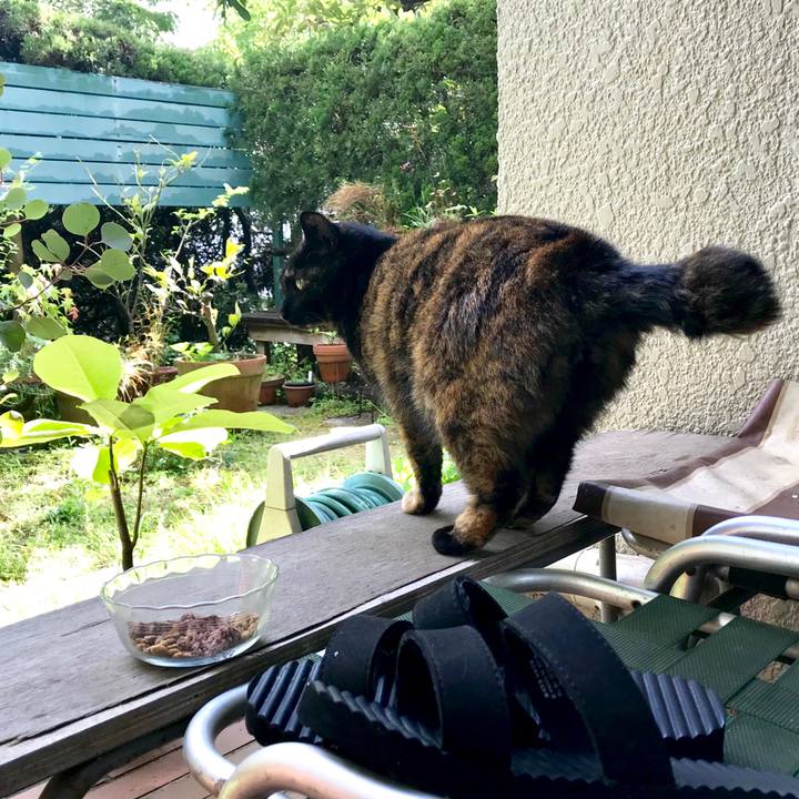 640cec91 bca4 4776 af8d 8adf3ca74fcb 1524041590311